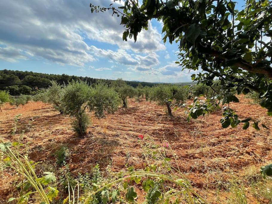 El-Cortijo Vila Siete Aguas Exterior foto